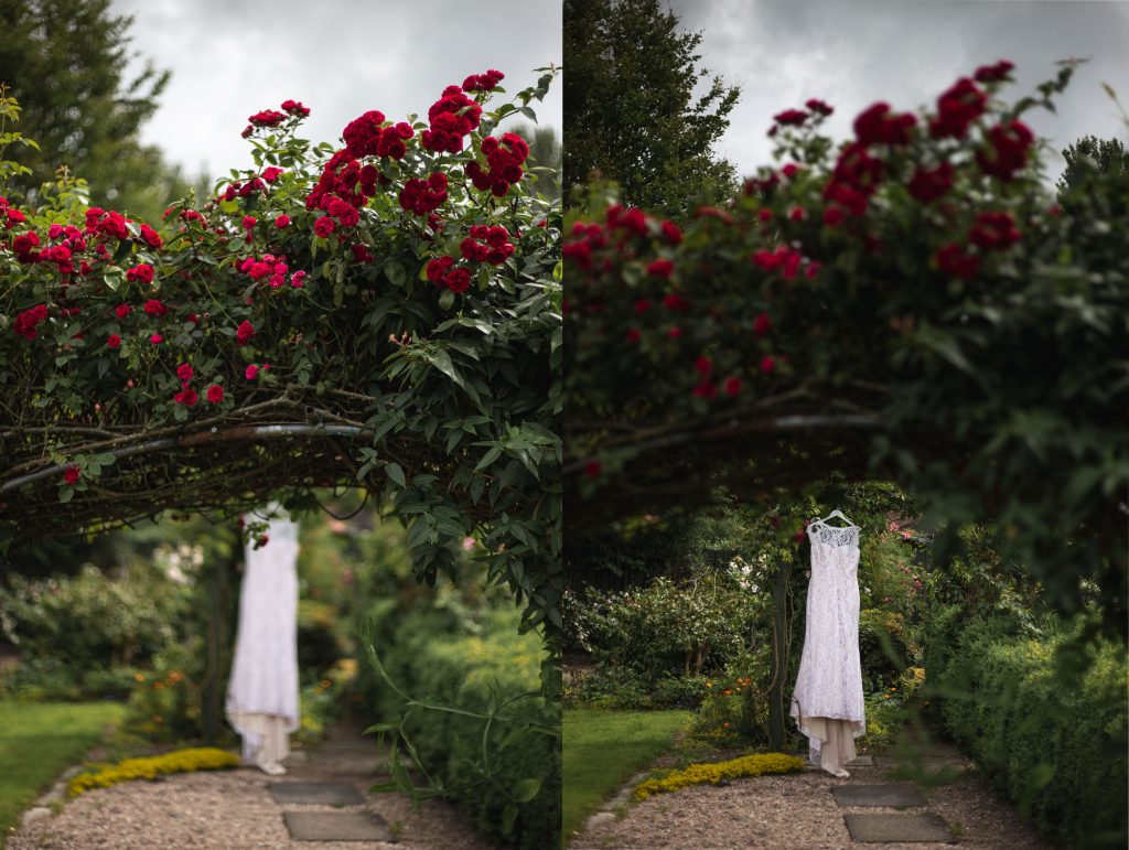 Jack and Katie Antrim elopement wedding dress hanging outside with roses