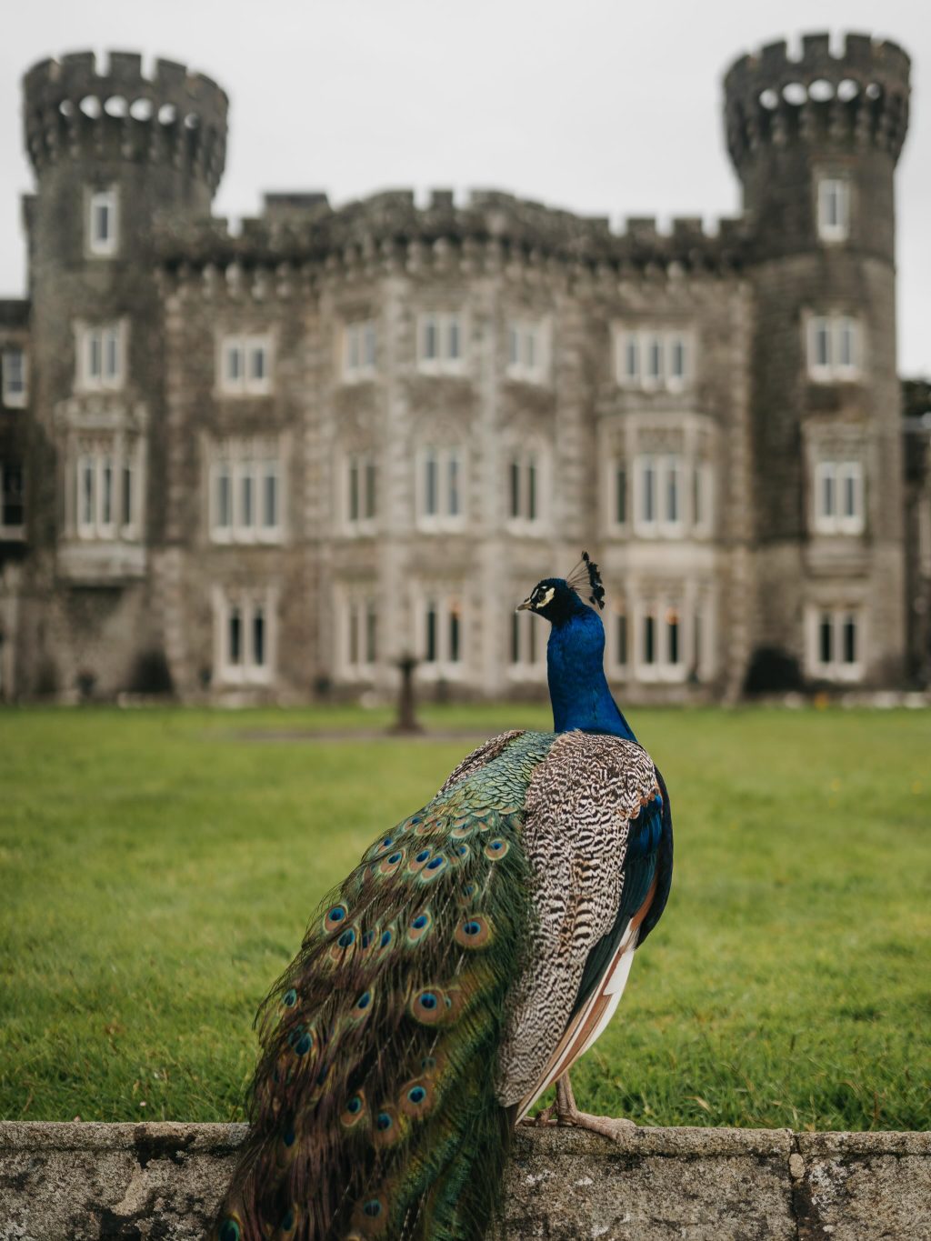 Instagram post from foxandquilphotography. This post is in position 3.
